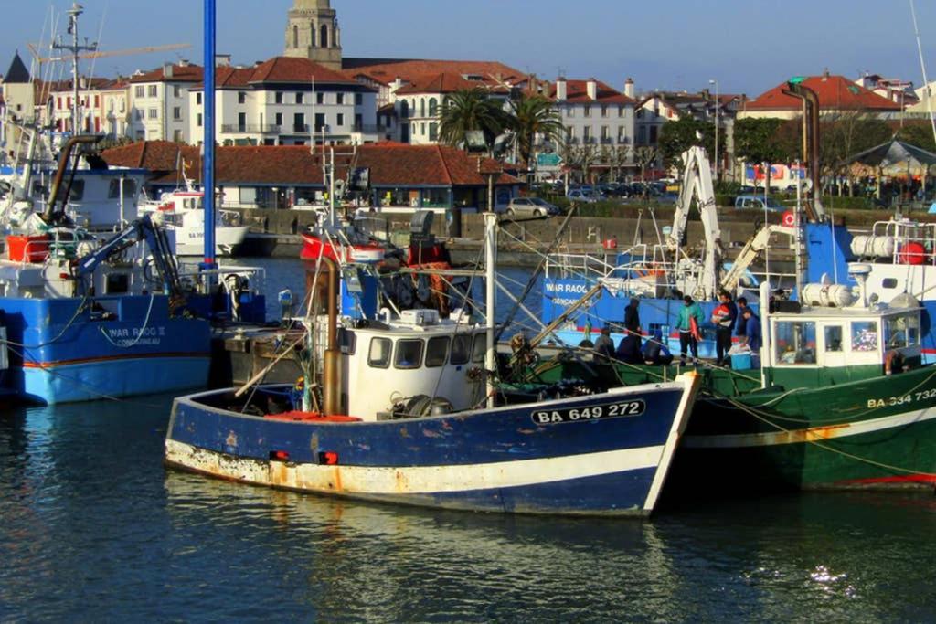 Maison Individuelle Cote Basque Ciboure Εξωτερικό φωτογραφία